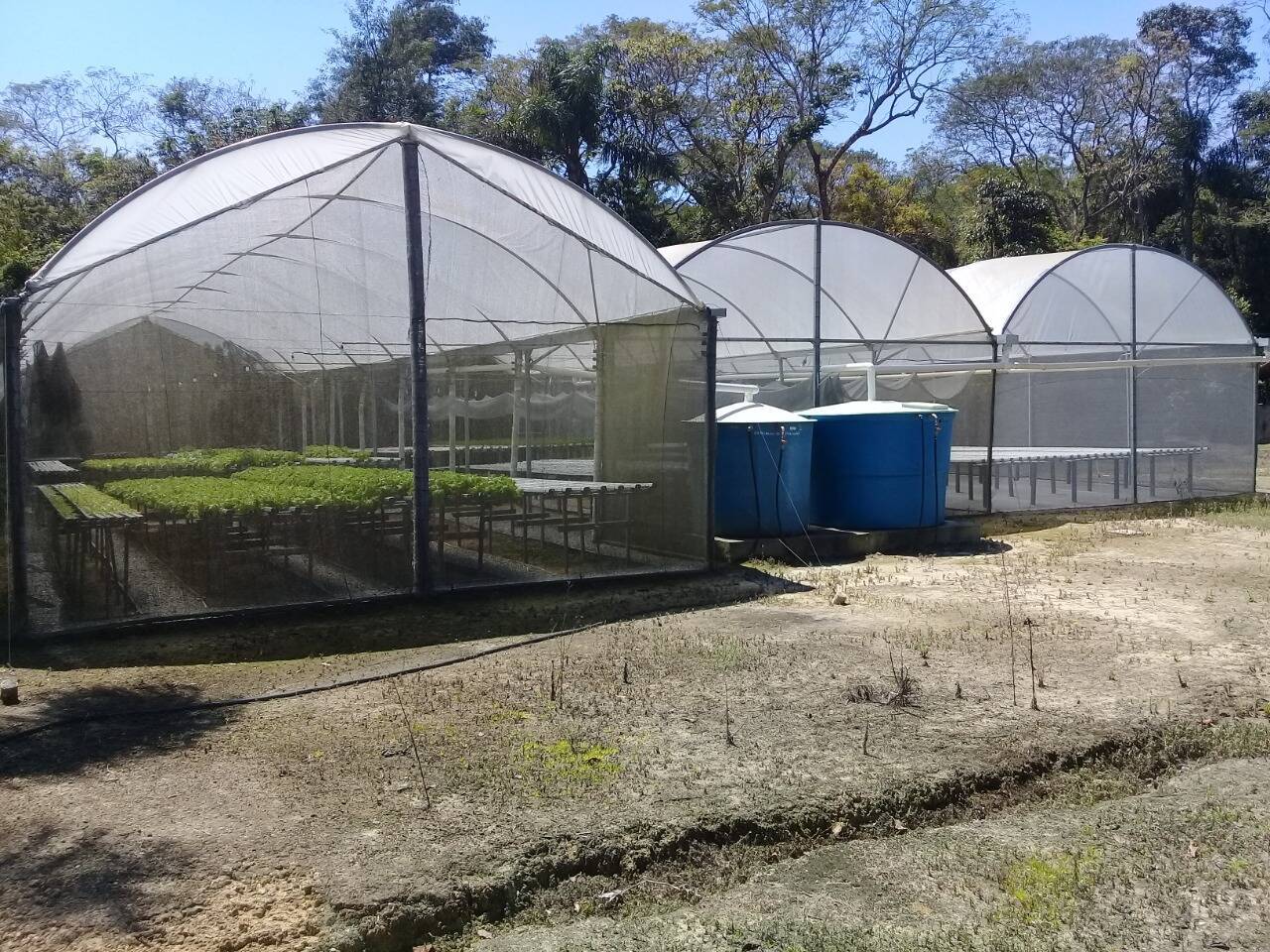 Sítio, 2 quartos - Foto 20