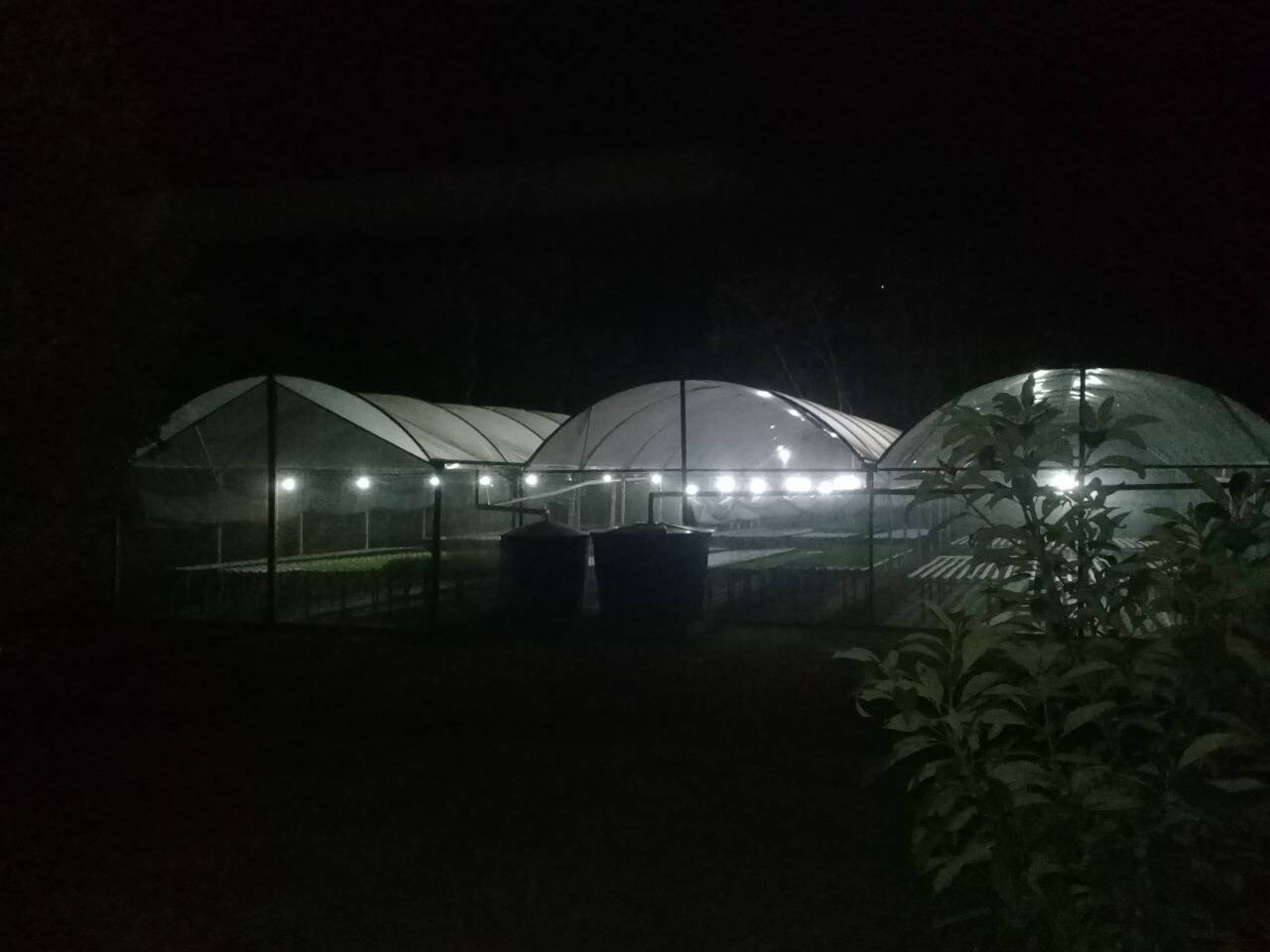 Sítio, 2 quartos - Foto 21