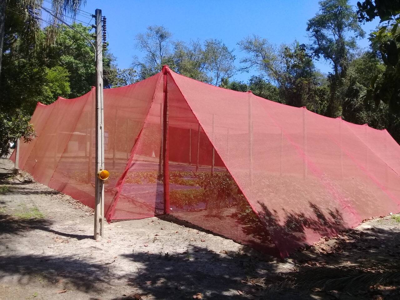 Sítio, 2 quartos - Foto 18