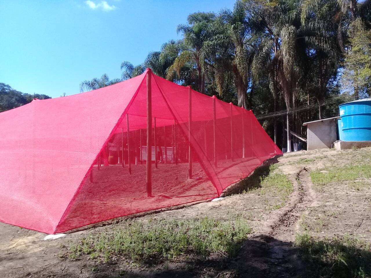 Sítio, 2 quartos - Foto 19