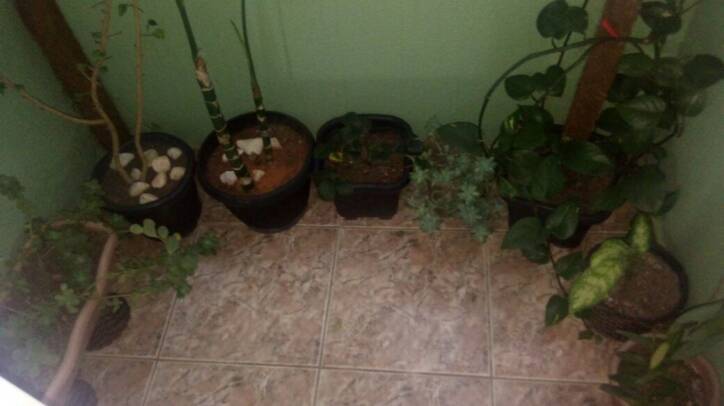 Apartamento, 2 quartos, 52 m² - Foto 13