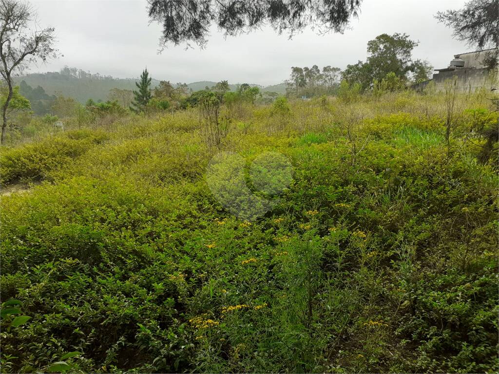 Terreno à venda em Quinta Divisão, Suzano - SP