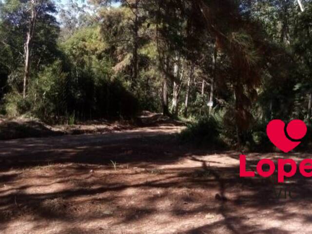 Terreno para Venda em Suzano - 4