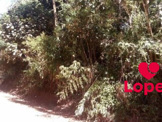 #978654 - Terreno para Venda em Suzano - SP