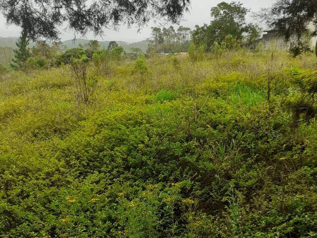 Área para Venda em Suzano - 2
