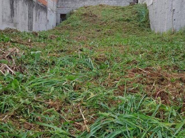 Terreno para Venda em Suzano - 4