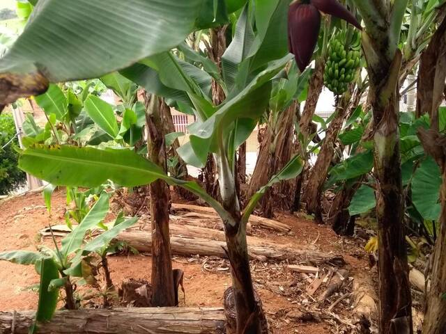 Terreno para Venda em Suzano - 5