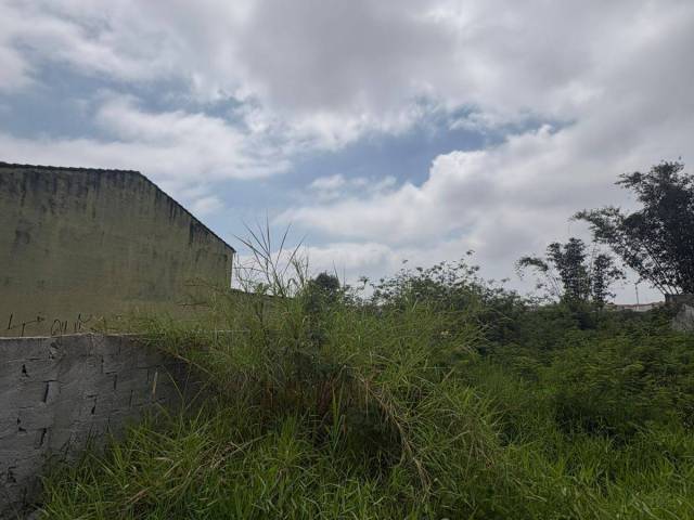 Área para Venda em Suzano - 5