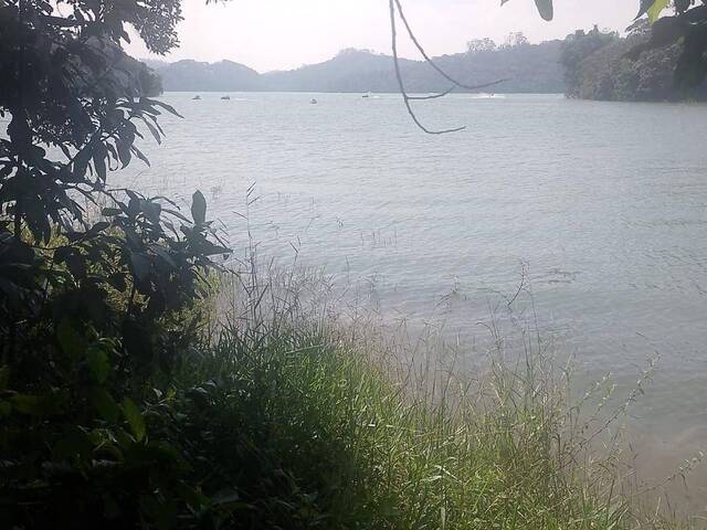 Área para Venda em São Bernardo do Campo - 5