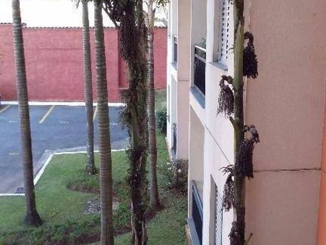 Apartamento para Venda em Suzano - 5