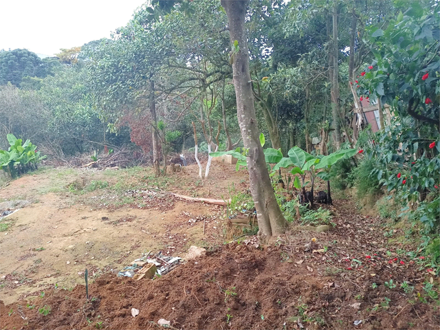 Terreno para Venda em Suzano - 3
