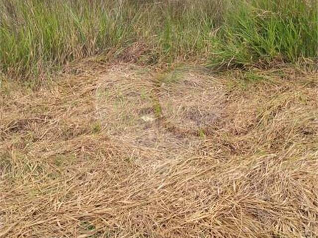 Terreno para Venda em Mogi das Cruzes - 4