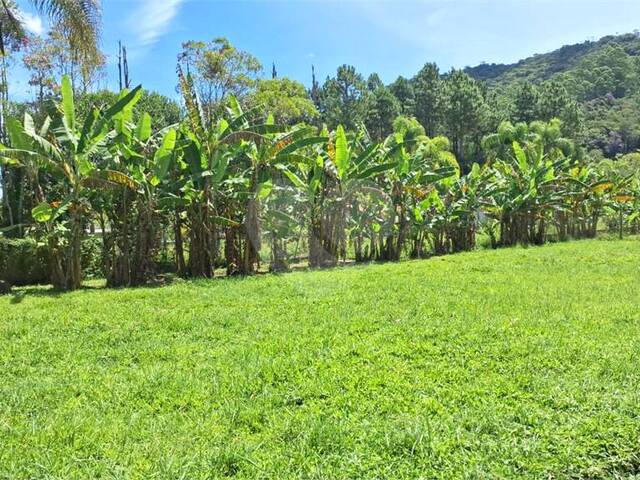 #REO985421 - Chácara para Venda em Mogi das Cruzes - SP