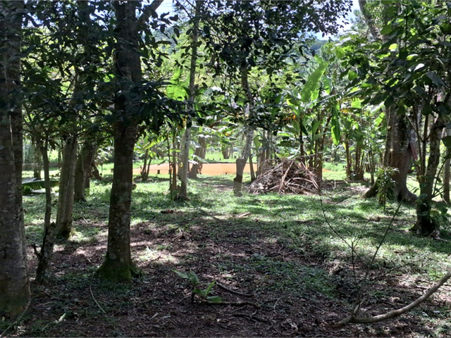 Chácara para Venda em Mogi das Cruzes - 4