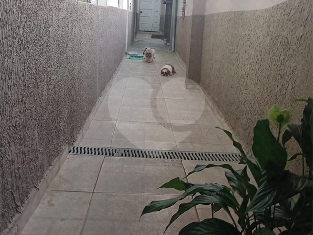 Casa para Venda em Suzano - 4