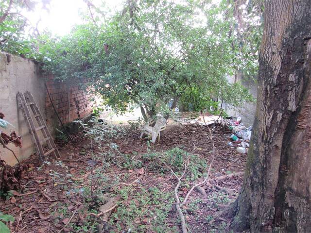 Terreno para Venda em Itaquaquecetuba - 5