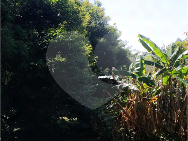 #REO1078583 - Chácara para Venda em Suzano - SP