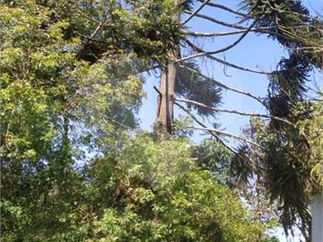 #REO1078583 - Chácara para Venda em Suzano - SP