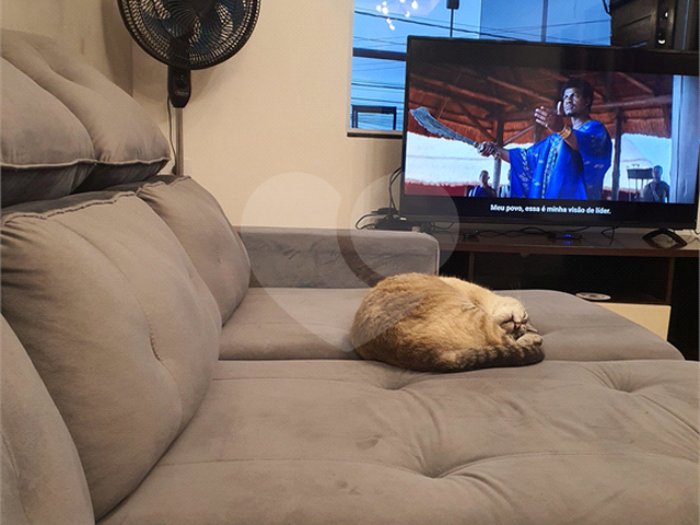 #REO989437 - Sobrado para Venda em São Paulo - SP