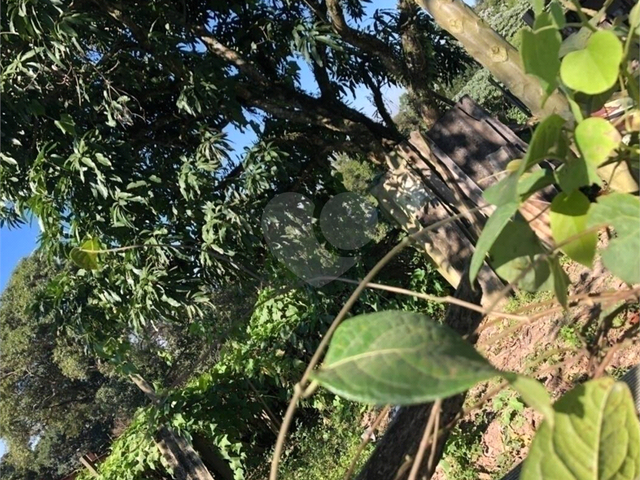 Terreno para Venda em Itaquaquecetuba - 4