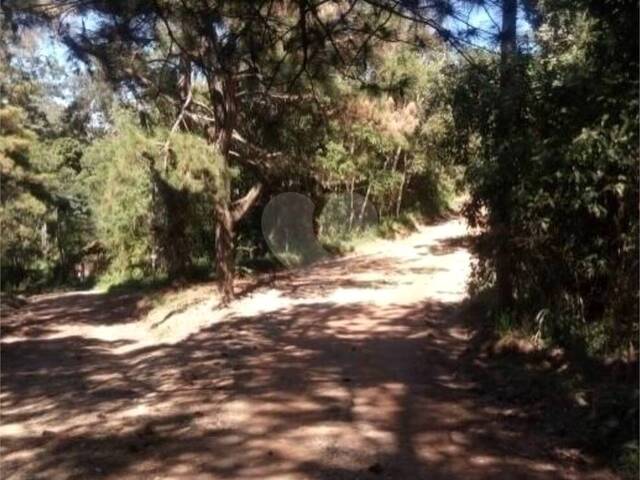 #REO978654 - Terreno para Venda em Suzano - SP