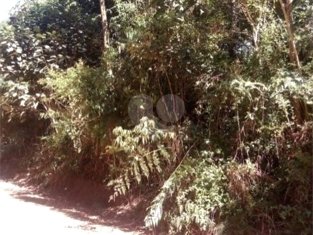 Terreno para Venda em Suzano - 4