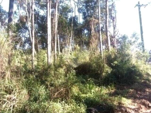 Terreno para Venda em Suzano - 5