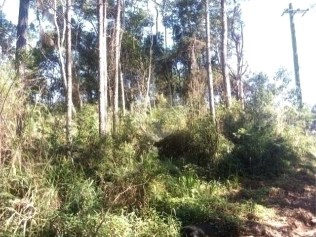 Terreno para Venda em Suzano - 5