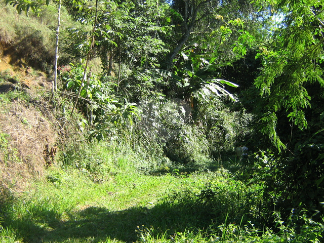 #REO861083 - Fazenda para Venda em  - 