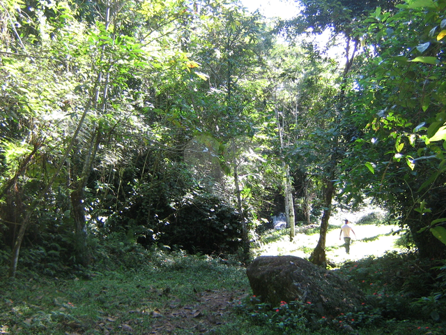 #REO861083 - Fazenda para Venda em  - 