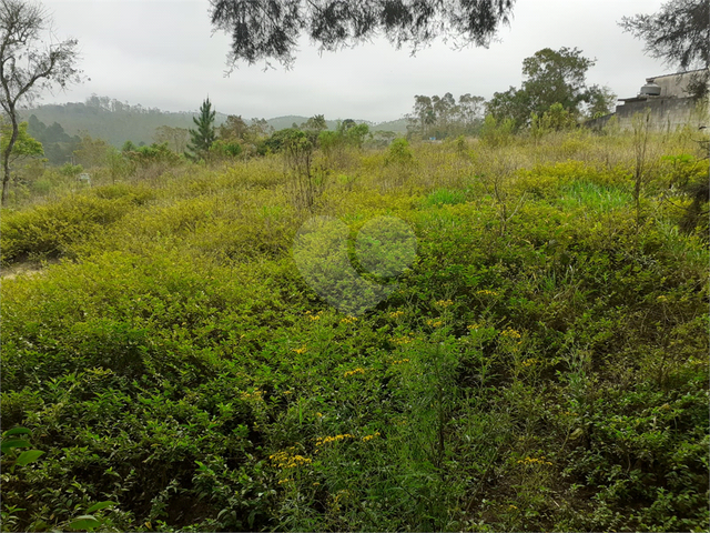 Terreno para Venda em Suzano - 4