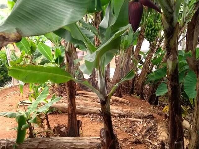 #REO937639 - Terreno para Venda em Suzano - SP