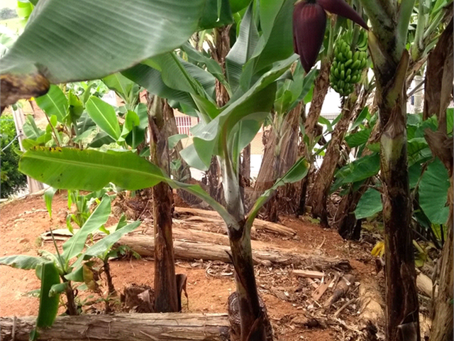 #REO937639 - Terreno para Venda em Suzano - SP