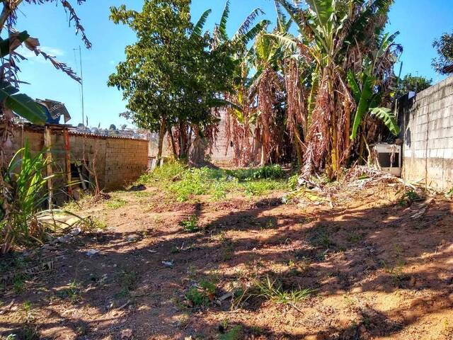 #REO902610 - Terreno para Venda em Suzano - SP