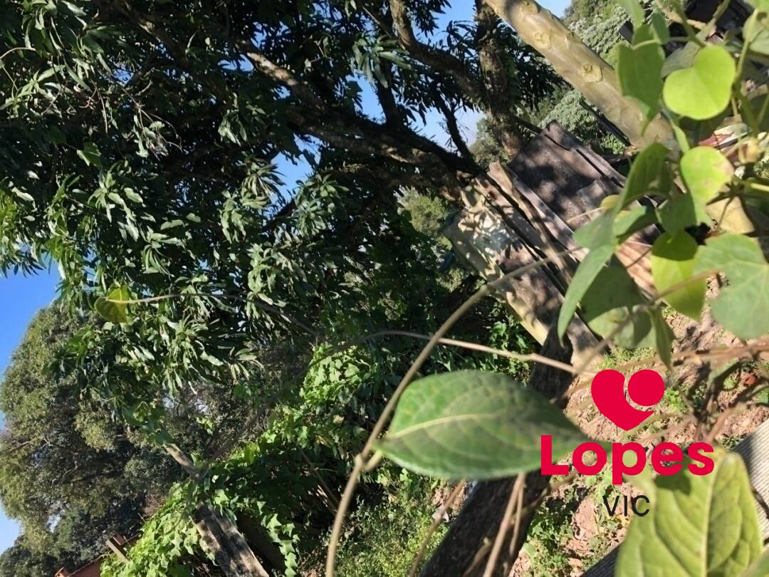 Terreno, 65 m² - Foto 3