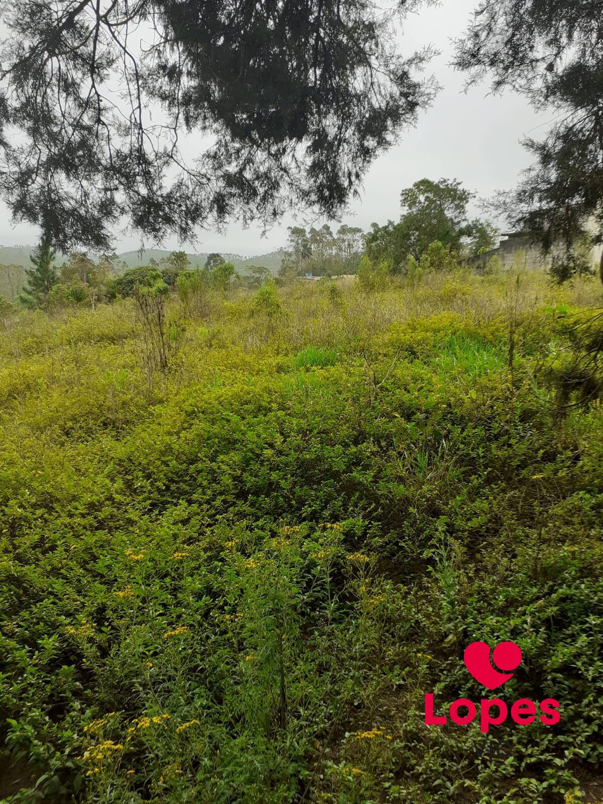 Terreno à venda - Foto 2