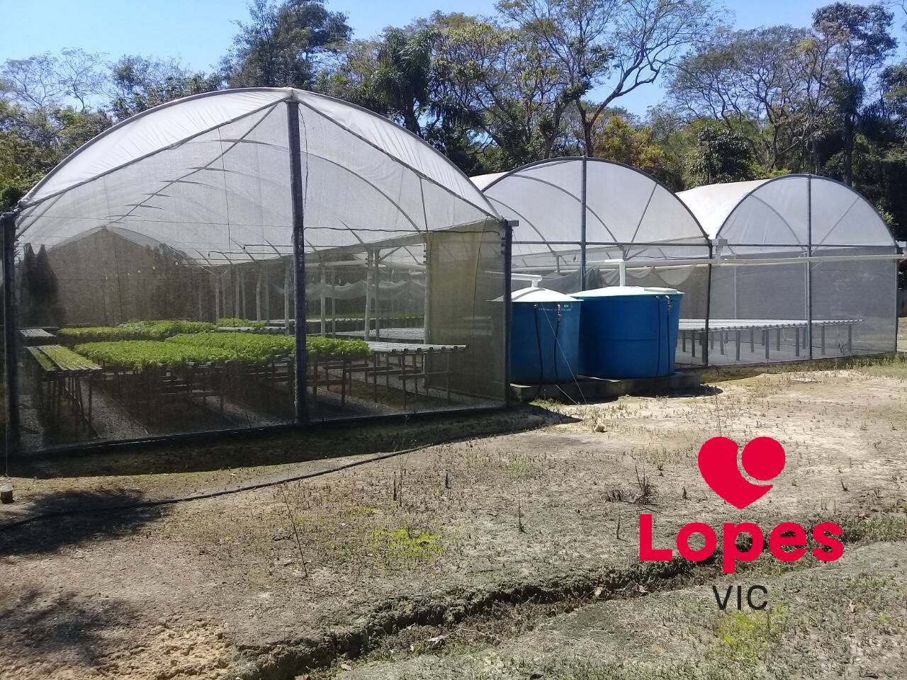 Sítio, 2 quartos - Foto 20