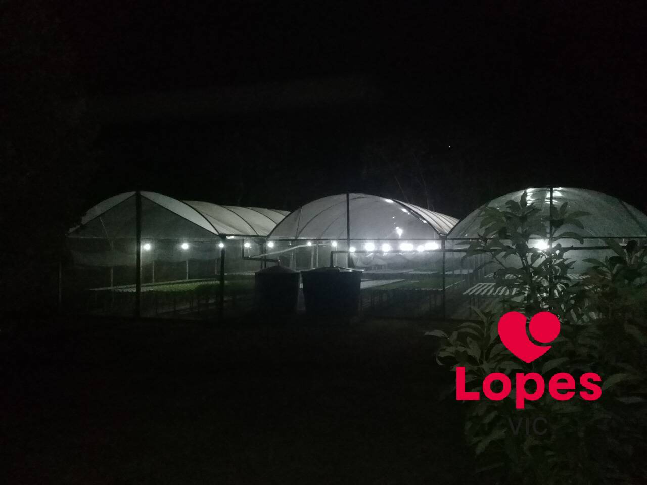 Sítio, 2 quartos - Foto 21