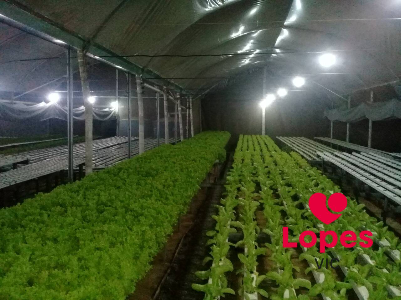 Sítio, 2 quartos - Foto 14