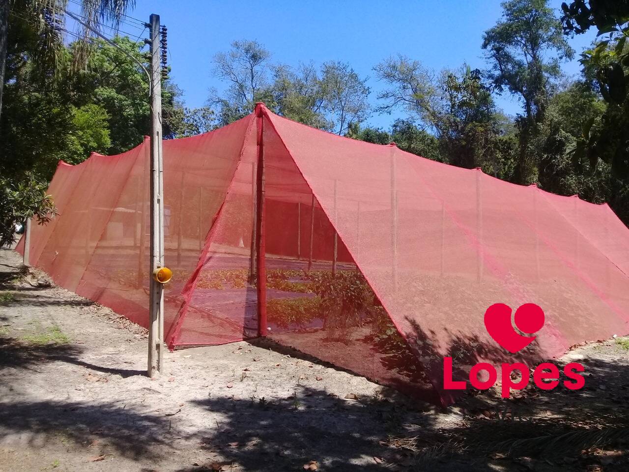 Sítio, 2 quartos - Foto 18