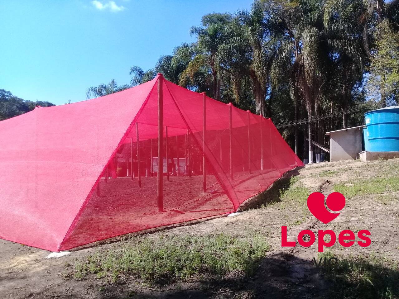 Sítio, 2 quartos - Foto 19