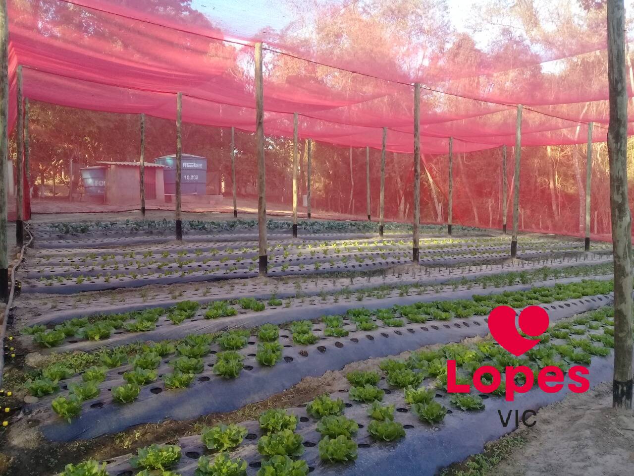 Sítio, 2 quartos - Foto 17