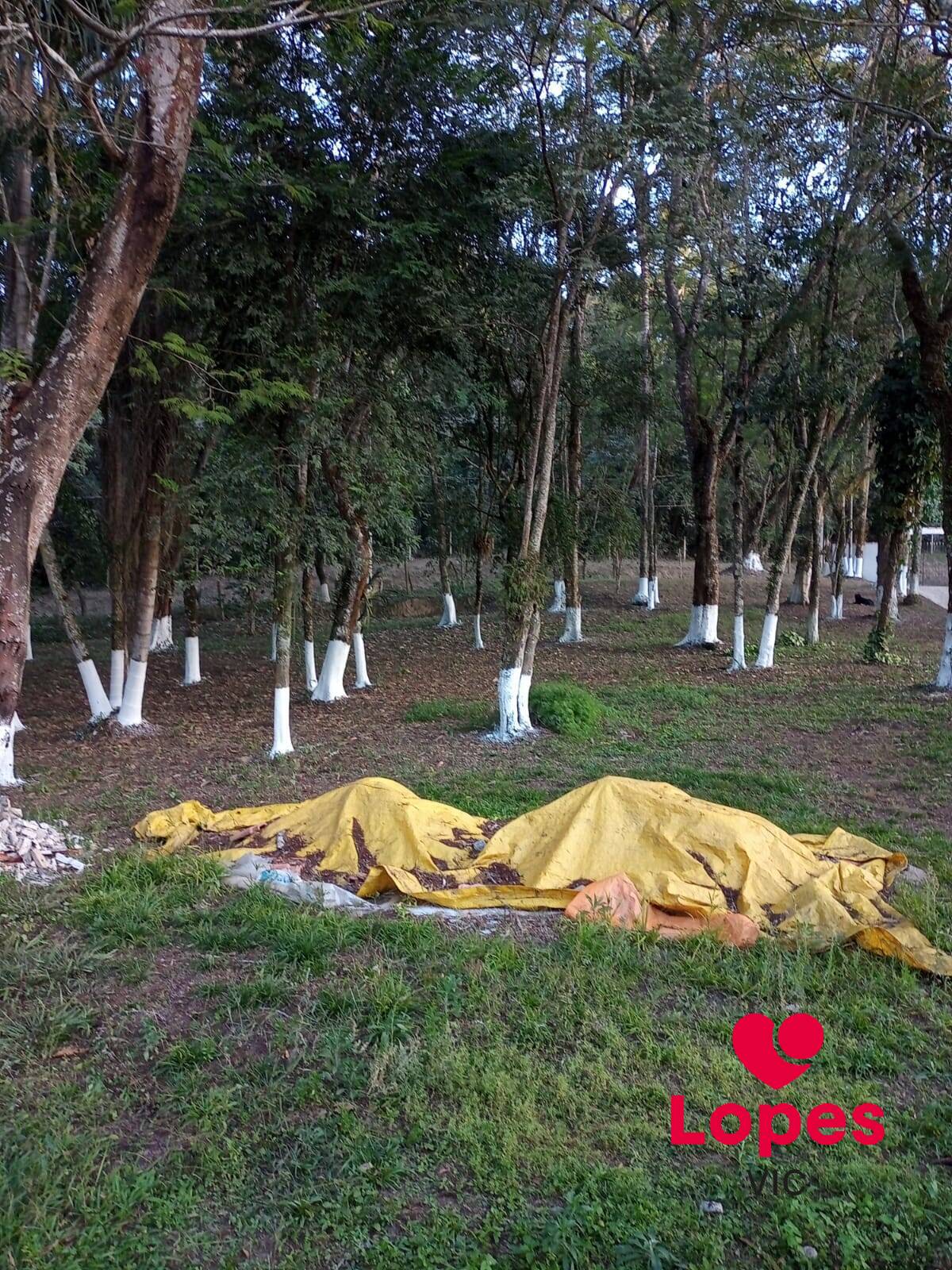 Sítio, 2 quartos - Foto 11