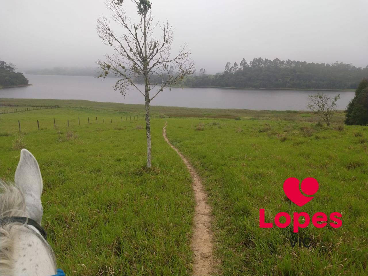 Chácara, 4 quartos - Foto 20