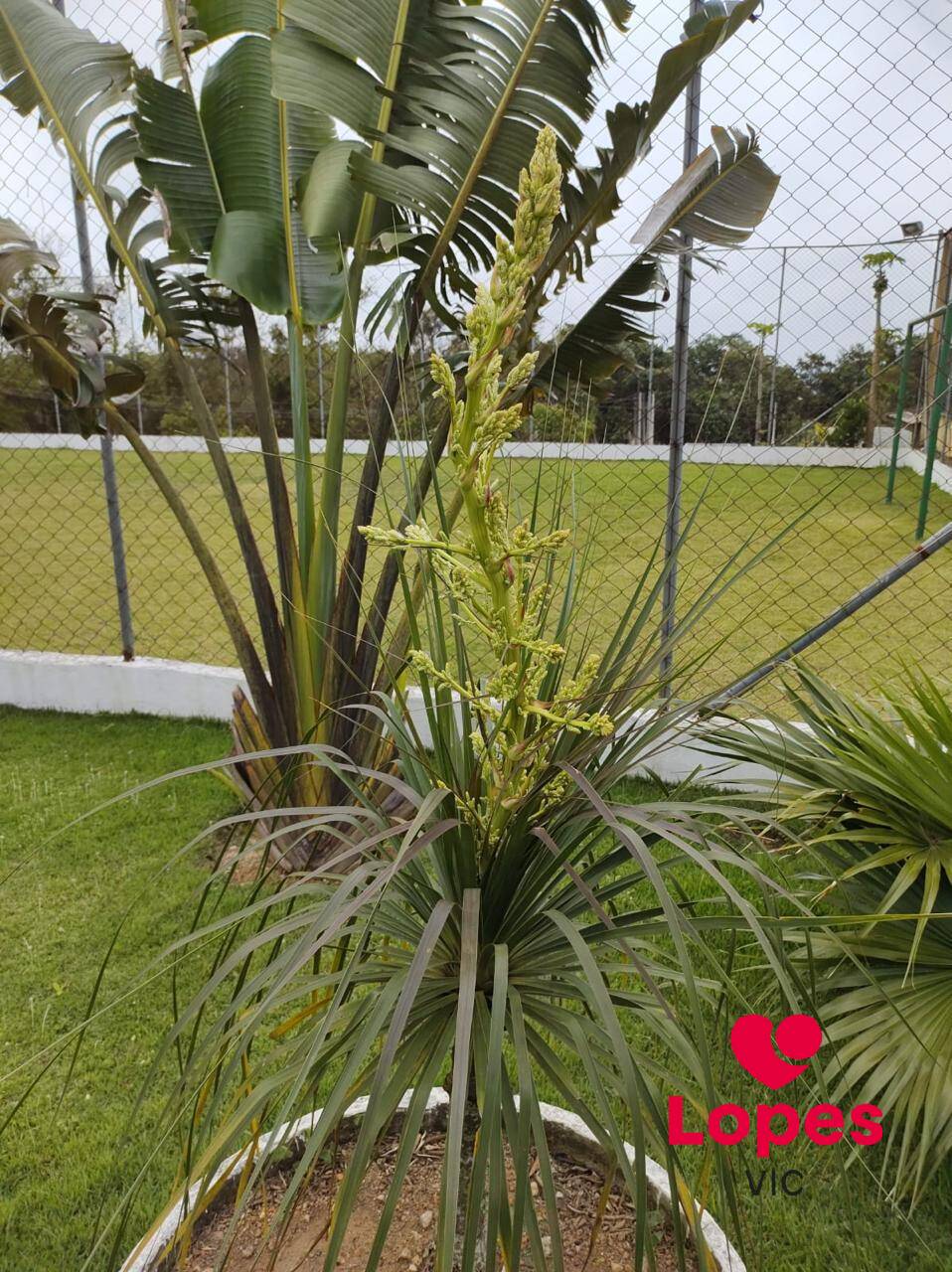 Chácara, 4 quartos - Foto 25