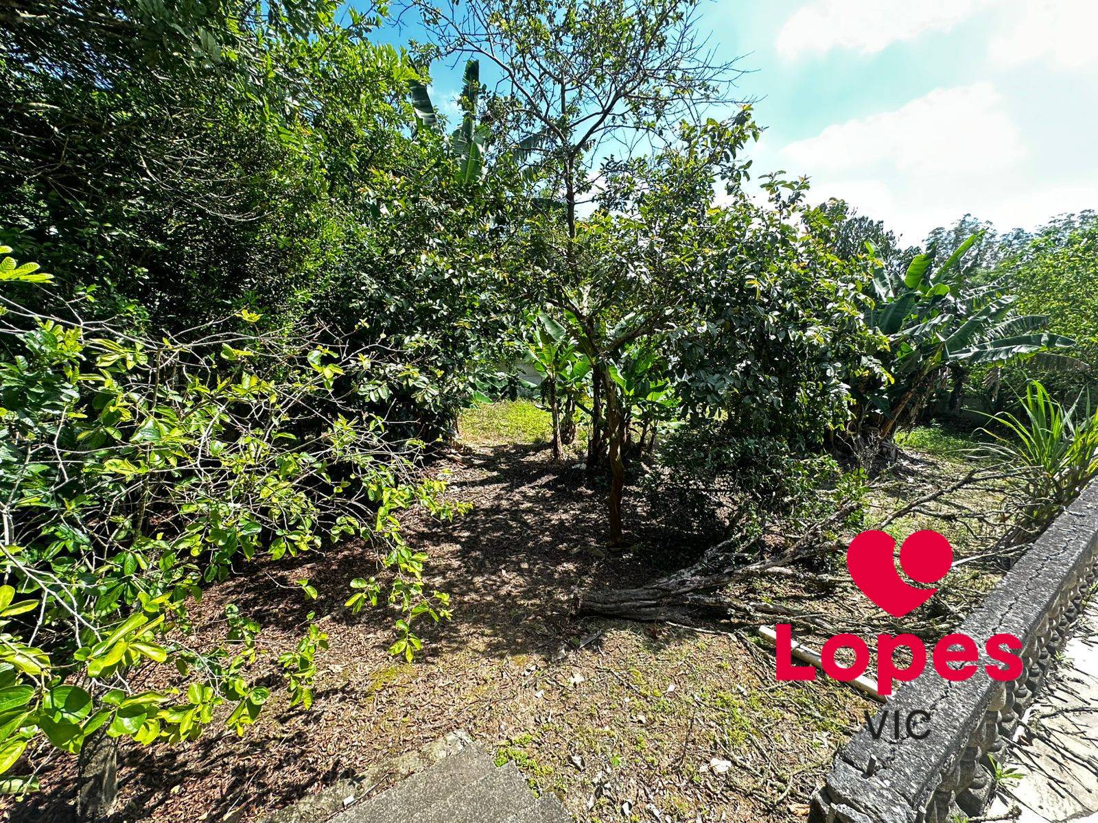 Chácara, 3 quartos, 1000 m² - Foto 20